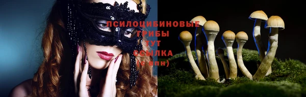 трава Горнозаводск