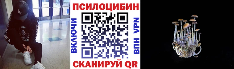 кракен   Зеленокумск  Галлюциногенные грибы Magic Shrooms  наркотики 